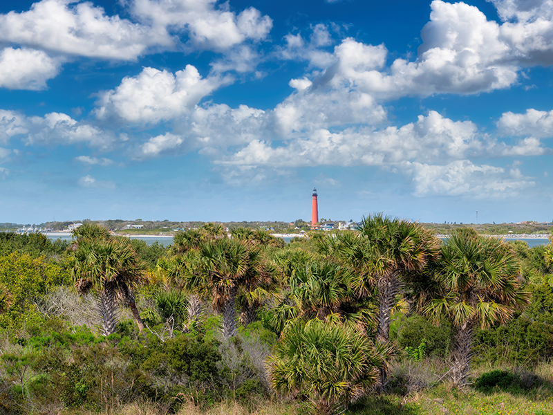 New Smyrna